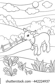 Coloring pages. Farm animals. Little cute goatling stands on the field smiles. He has a bell on the neck.