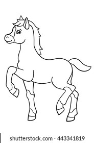 Coloring pages. Farm animals. Little cute foal walks and smiles.