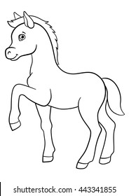 Coloring pages. Farm animals. Little cute foal smiles.