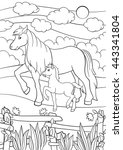 Coloring pages. Farm animals. Mother horse walks with her little cute foal on the field.