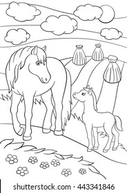 Coloring pages. Farm animals. Mother horse with her little cute foal on the field.