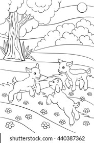 Coloring pages. Farm animals. Three little cute goatlings play on the grass.