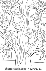 Coloring pages. Four koala babies sit on the tree and smile.