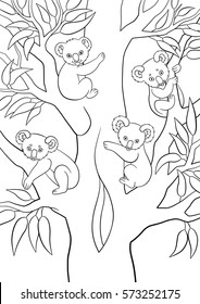 Coloring pages. Four koala babies sit on the tree and smile.