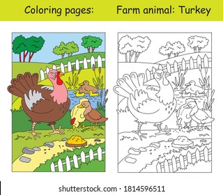 Coloring Pages With Funny Angry Turkey Walking On The Farm. Cartoon Vector Illustration. Coloring And Colored Image Of Turkey. Stock Illustration For Design, Preschool Education, Print And Game. 