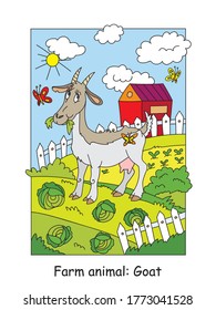 Coloring pages with funny goat chewing a cabbage on the farm. Cartoon vector illustration. Stock illustration for design, preschool education, print and game. 