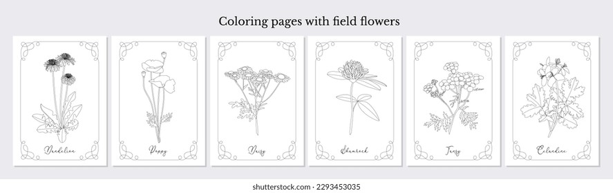 Coloring pages with hand drawn field flowers. Hobby printable template. Line art wild flowers. Vector illustration