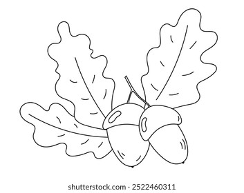 Coloring pages illustration of Pair Of Acorns With Leaves On A Twig Being