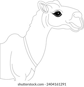 Coloring pages for kids and adults 