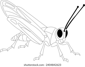 Coloring pages for kids and adults 