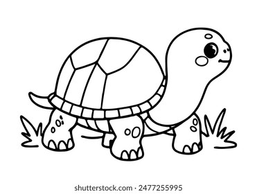 Coloring pages for kids of a turtle