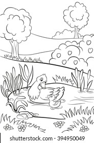 Coloring pages. Kind duck and little cute duckling swim on the pond. There are trees, bushes, flowers and reeds around. Summer.