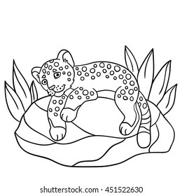Coloring pages. Little cute baby jaguar lays on the stone and smiles.