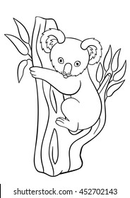 Coloring pages. Little cute baby koala sits on the tree branch and smiles.