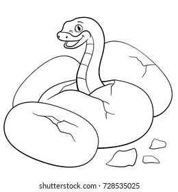 Coloring pages. Little cute baby viper sits in the egg.