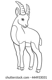 Coloring pages. Little cute ibex smiles.