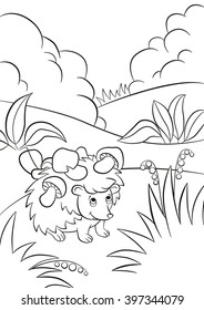 Coloring pages. Little cute kind hedgehog has the mushrooms on the needles. There are bushes, plants, grass and berries around. The hedgehog smiles.