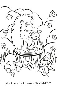 Coloring pages. Little cute kind hedgehog sits on the stump and holds an apple in the paw. There are bushes, flower, grass and mushrooms around. Summer.