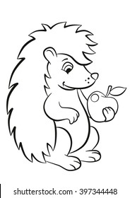 Coloring pages. Little cute kind hedgehog sits and holds an apple in the paw. It smiles. 