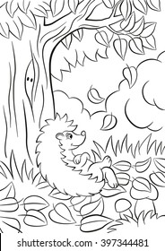 Coloring Pages. Little Cute Kind Hedgehog Sits Near The Tree. It`s Autumn. The Leaves Fall From The Tree. There Are Bushes, Plants, Grass And Mushrooms Around. The Hedgehog Is Happy.