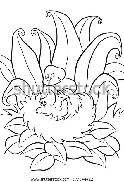 5500 Www.cute Coloring Pages.com Pictures