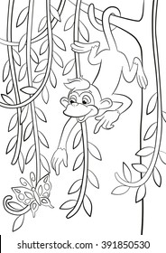 Coloring pages. Little cute monkey is hanging on the tree branch in the forest, smiling and poingting somethere.