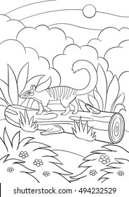 Coloring pages. Little cute numbat walks on the log and smiles.