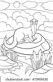 Coloring pages. Little cute otter stands on the stone in the river and smiles.