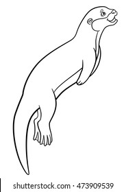 Coloring pages. Little cute otter swims and smiles.