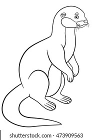 Coloring pages. Little cute otter stands and smiles.