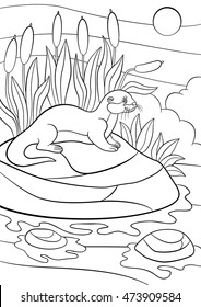 Coloring pages. Little cute otter stands on the stone in the river and smiles.