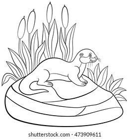 Coloring pages. Little cute otter stands on the stone and smiles.