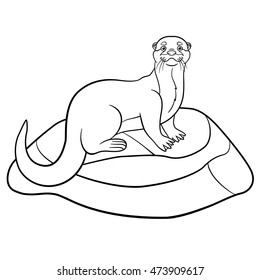 Coloring pages. Little cute otter stands on the stone and smiles.