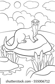 Coloring pages. Little cute otter stands on the stone in the river and smiles.