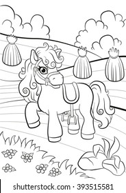 Coloring pages. Little cute pony standing on the field and smiling. 