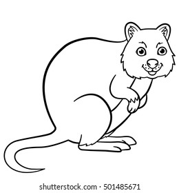 Coloring pages. Little cute quokka stands and smiles.