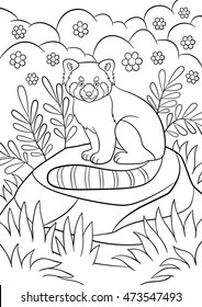 Coloring pages. Little cute red panda sits on the stone in the forest and smiles.