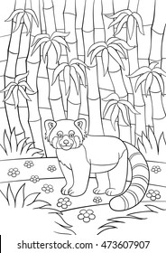 Coloring pages. Little cute red panda stands in the bamboo forest and smiles.