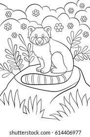 Coloring pages. Little cute red panda sits on the stone in the forest and smiles.