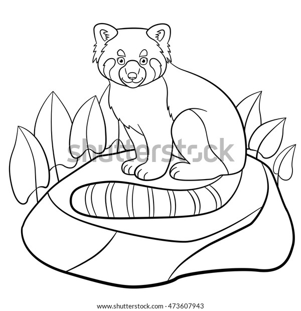 Coloring Pages Little Cute Red Panda Stock Vector Royalty Free