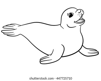 Coloring Pages Little Cute Seal Smiles Stock Vector (Royalty Free ...