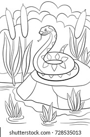 Coloring pages. Little cute viper lies on the stone.