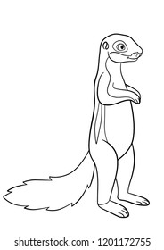 Coloring pages. Little cute xerus stands and smiles.