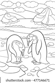 Coloring pages. Mother and father penguin looks at the egg and smiles.