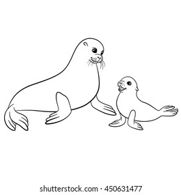 Coloring pages. Mother fur seal with her little cute baby.