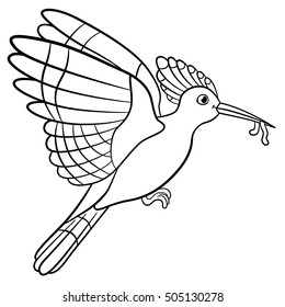 Coloring pages. Mother hoopoe flies and holds a worm in her beak.