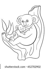 Coloring pages. Mother koala with her little cute sleeping baby sits on the tree and smiles.