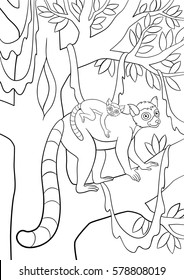Coloring pages. Mother lemur stands on the tree branch in the forest with little cute baby on her back and smiles.