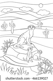 Coloring pages. Mother meerkat with her little cute babies on the stones.