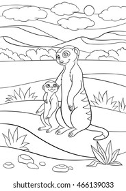 Coloring pages. Mother meerkat with her little cute baby.